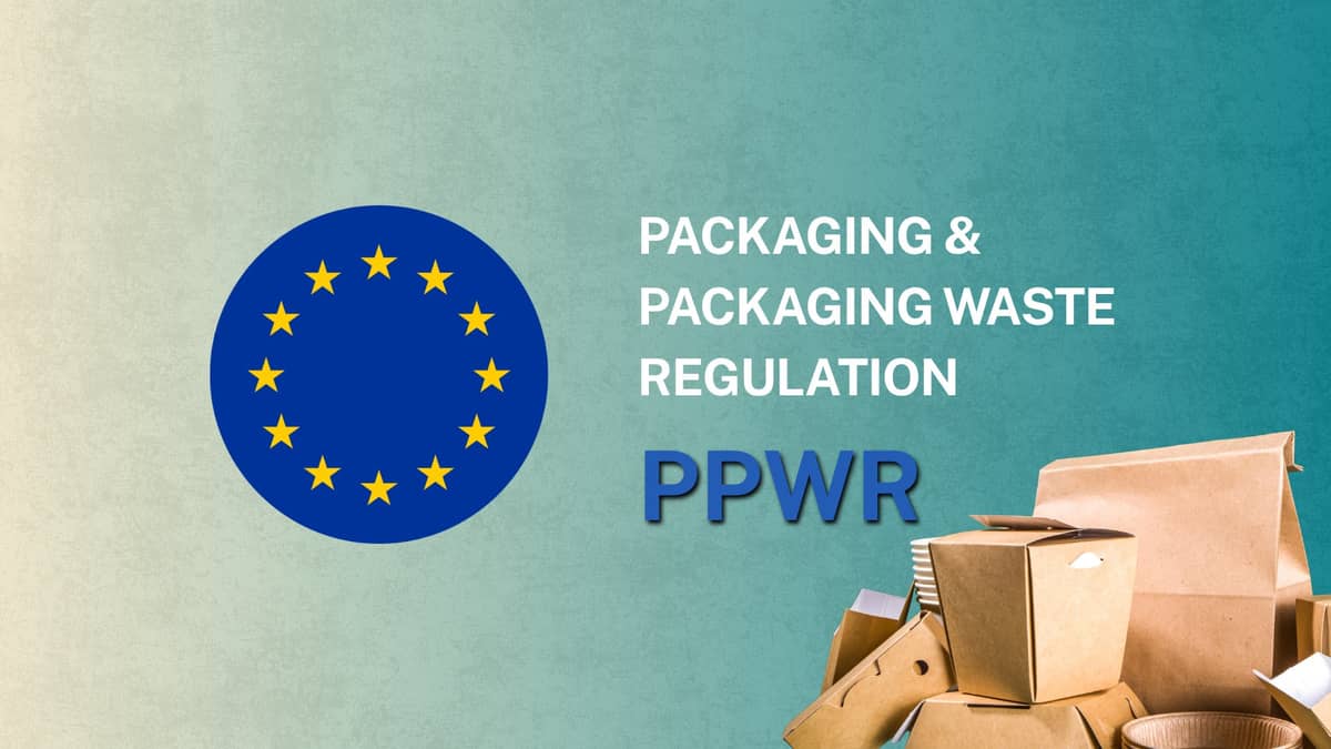 PPWR: The EU's New Packaging Regulation Officially Takes Effect